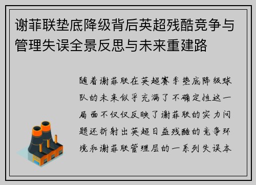 谢菲联垫底降级背后英超残酷竞争与管理失误全景反思与未来重建路